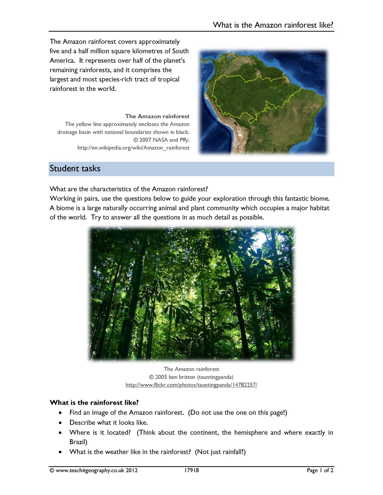 Ks3 Rainforests Teachit Geography